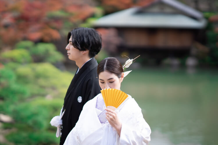 Kimono Plan