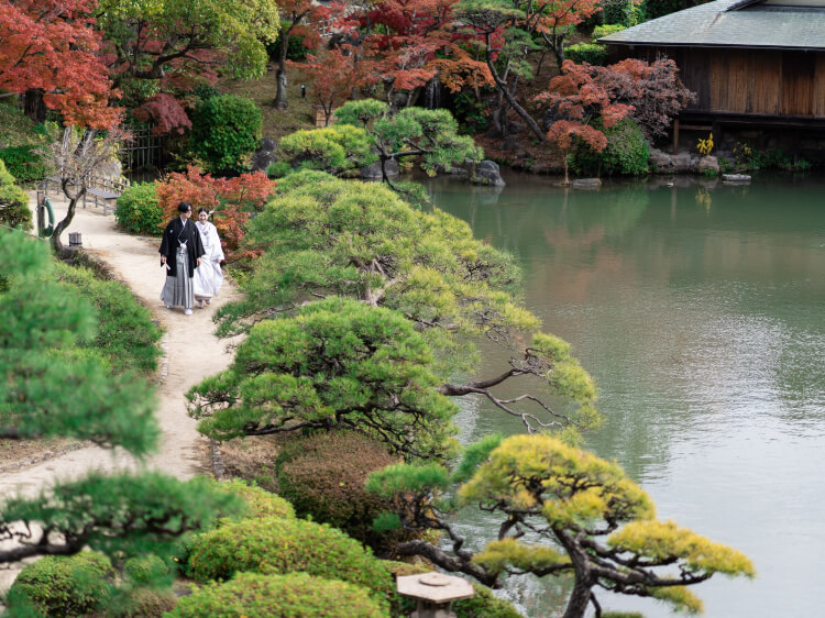 相楽園 庭園