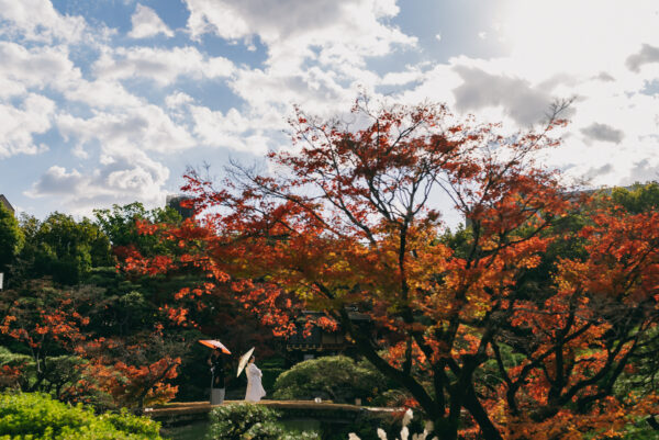 相楽園