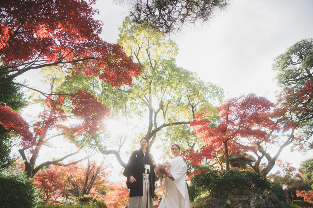 緑と紅葉が混ざり合う相楽園の風景